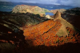 hayas-en-los-montes-traful-neuquen.jpg