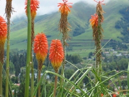 tafi-del-valle-tucuman.jpg