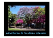 ARGENTINA_3_Page_13.jpg