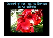 ARGENTINA_3_Page_22.jpg