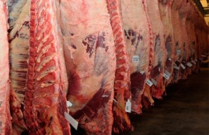 carne3