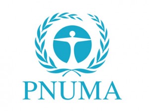 pnuma