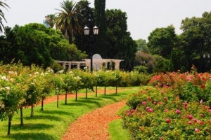 rosedal2