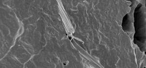 3021_Untitled-3 copy