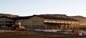 calafate2