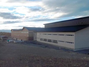 calafate3