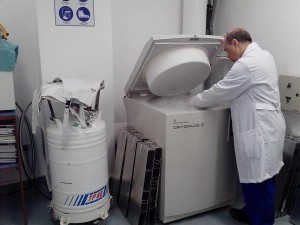 criopreservacion