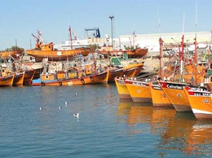 mar-del-plata-pesca-puerto