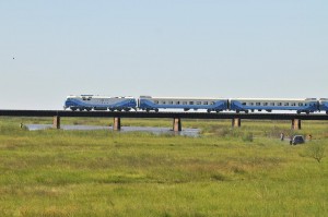 tren a rosario2