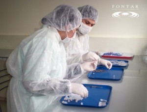 implantes dentales