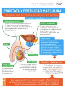 prostata