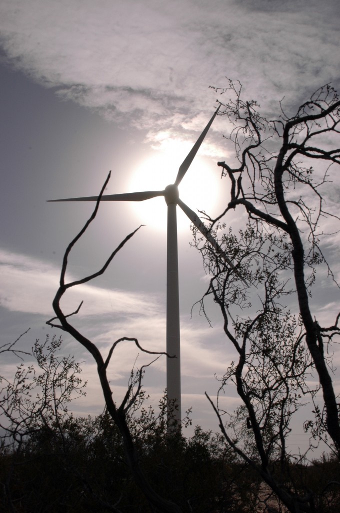 parque eolico arauco3