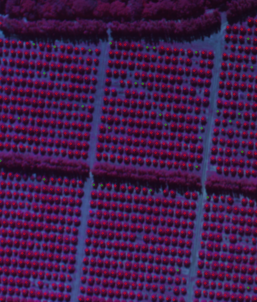 Algoritmo para conteo de árboles