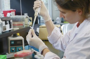 laboratorio