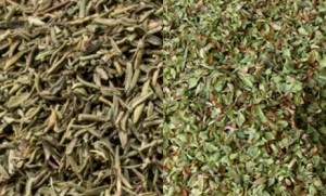 tomillo_y_oregano__conservantes_naturales